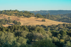 Early morning landscape in rural countryside, mountains and oak trees, blue sky, dry southern california landscape
