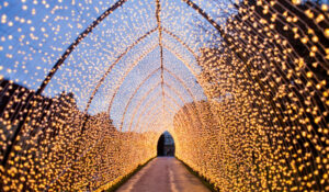 Light tunnel in botanical garden