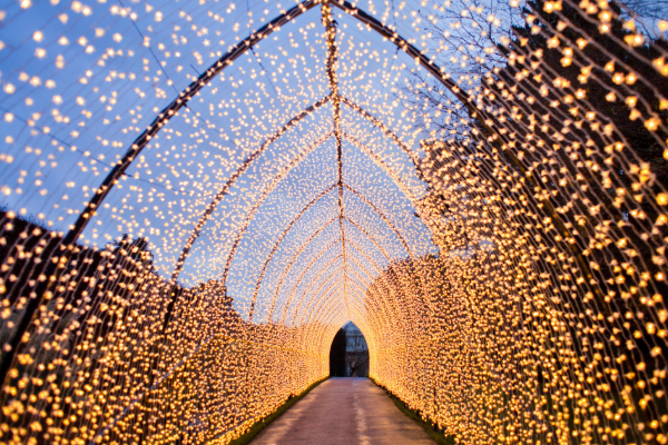 tunnel formed by christmas lights