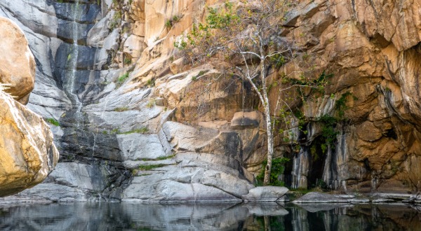 cedar creek waterfall