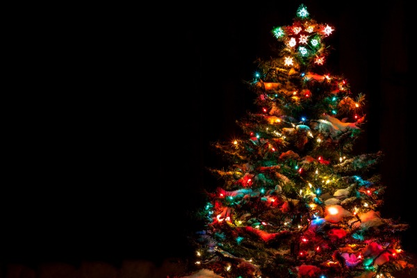 lit up christmas tree
