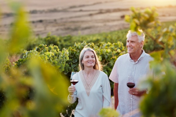 couple walking in the vineyard