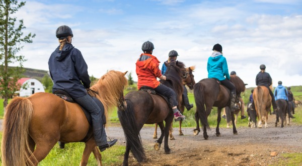 horseback riding