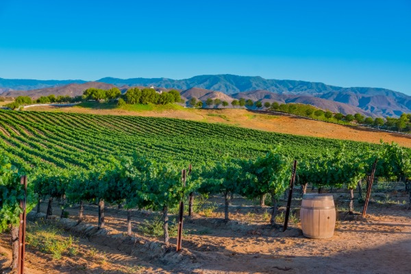 day trip to temecula from Ramona