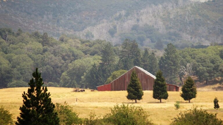 Julian, CA