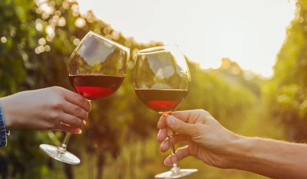 Wine